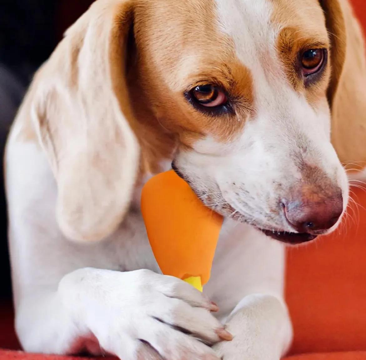 Kedi Köpek Isrıma Plastik Tavuk Parçası