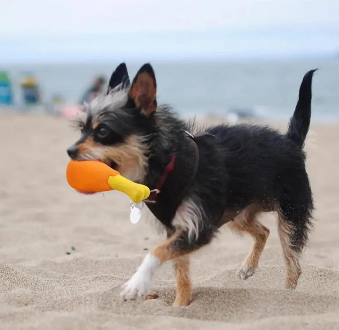 Kedi Köpek Isrıma Plastik Tavuk Parçası