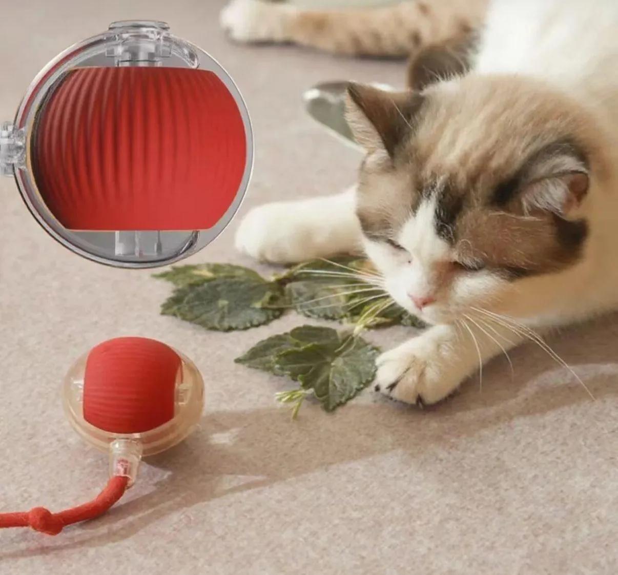 Kedi Oyuncak Şarjlı Oynayan Top İpli *200
