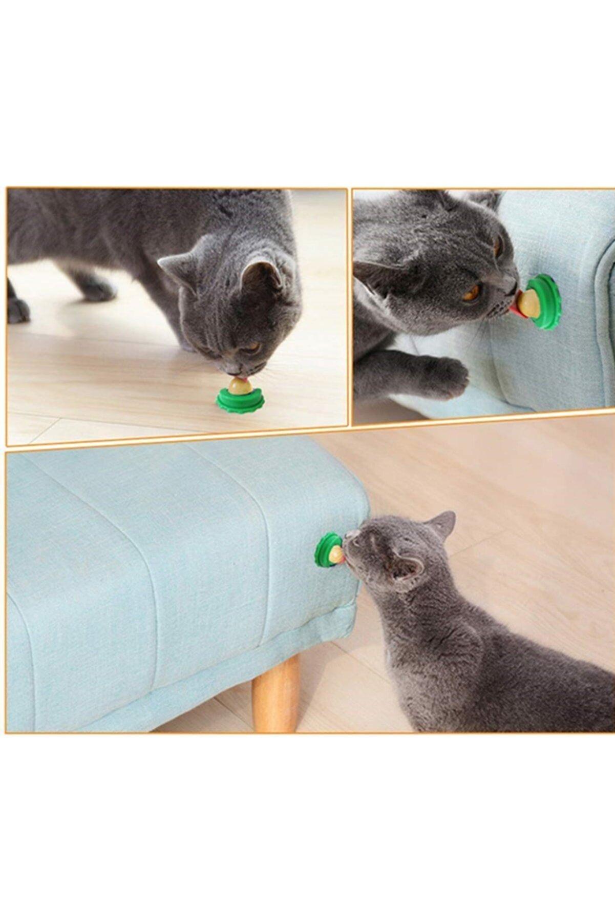 Kedi Yalama Topu Şekerli