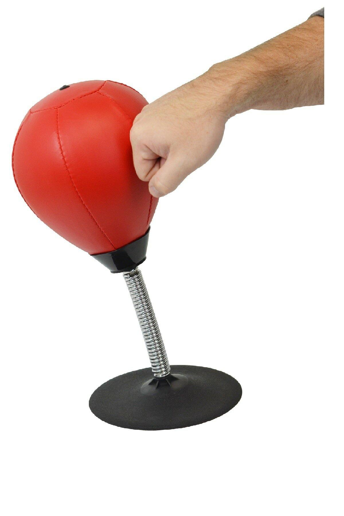 Masa Üstü Boks Aleti Vakumlu 35 cm