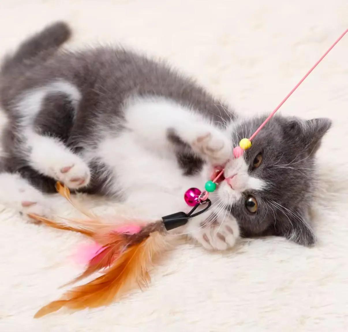 Plastik Kedi Oyun Oltası İnce Tüylü