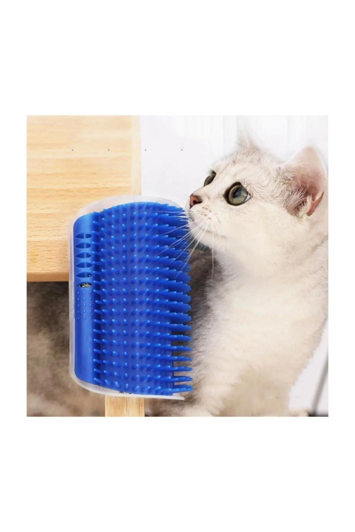 Cat İt Kedi Kaşınma Aparatı + Kedi Nanesi