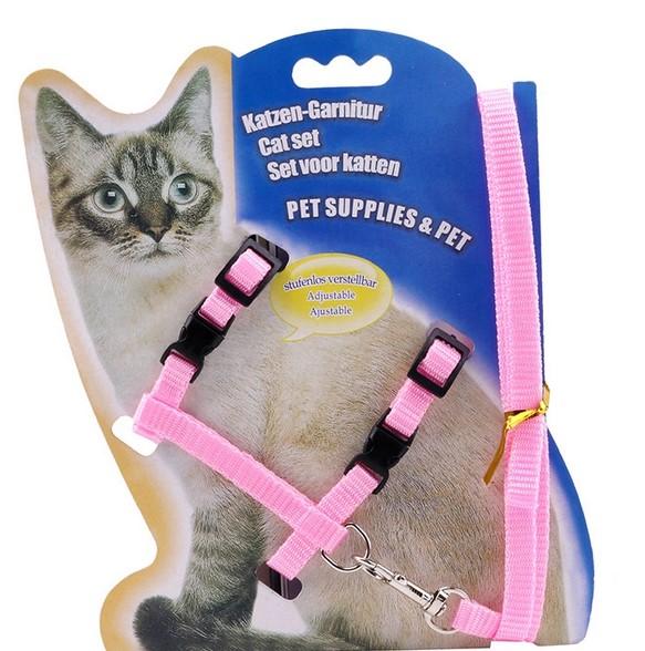 Kedi Bel Tasması Renkli