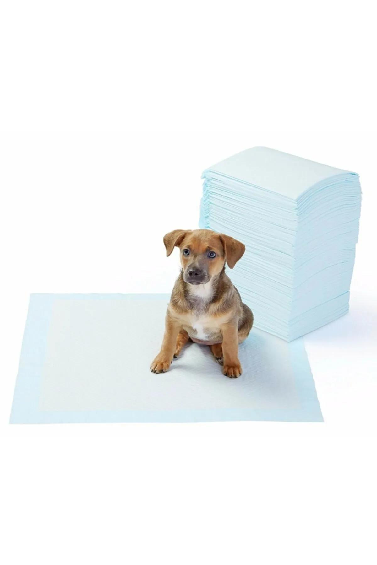 Kedi&Köpek Tuvalet Eğitim Bezi Alez 5 Adet