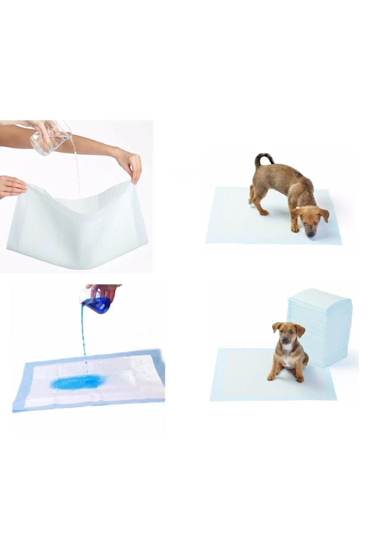 Kedi&Köpek Tuvalet Eğitim Bezi Alez 5 Adet