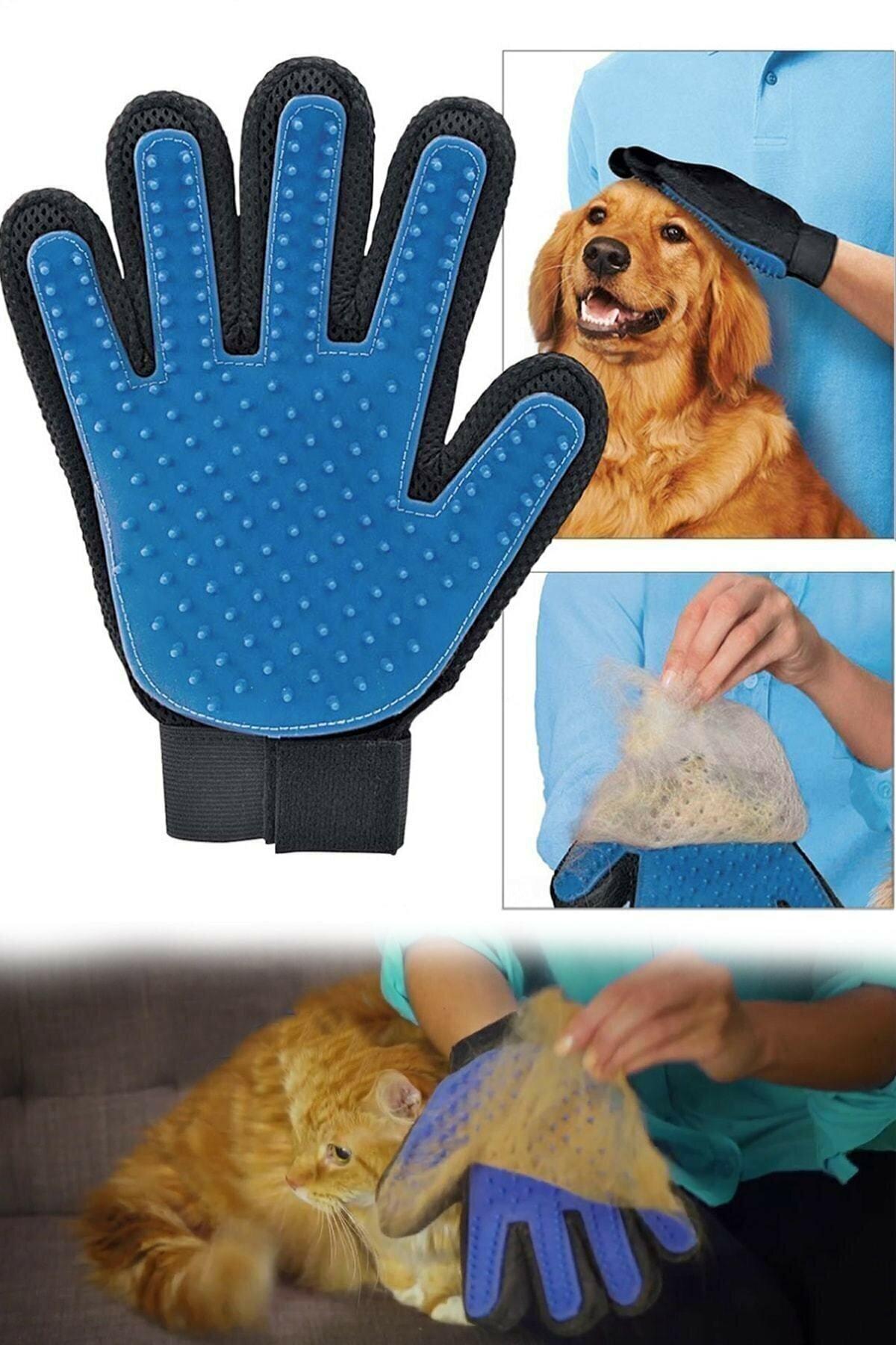 Kedi&Köpek Tüy Toplama Eldiveni Kutusuz İthal