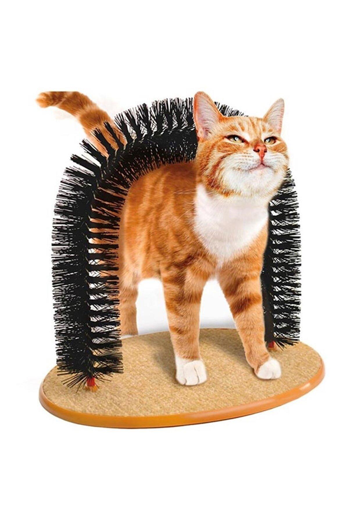 Purffect Nrch Kedi Kaşıma Aparatı